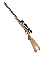 Glenfield (Marlin) 60, .22 LR