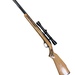 Glenfield (Marlin) 60, .22 LR
