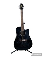 Takamine Acoustic / Electric Guitar