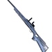 Savage Axis, .22-250