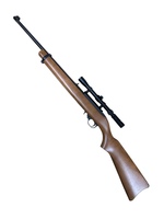 Ruger 10/22, .22 LR
