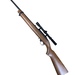Ruger 10/22, .22 LR