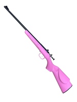 Keystone Crickett, .22 S.L.LR